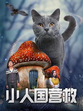 yy4080私人